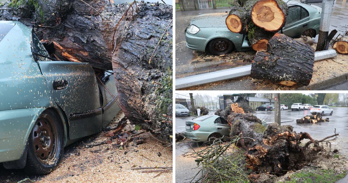 FOTO: Zagrebačko nevrijeme srušilo drvo na automobil