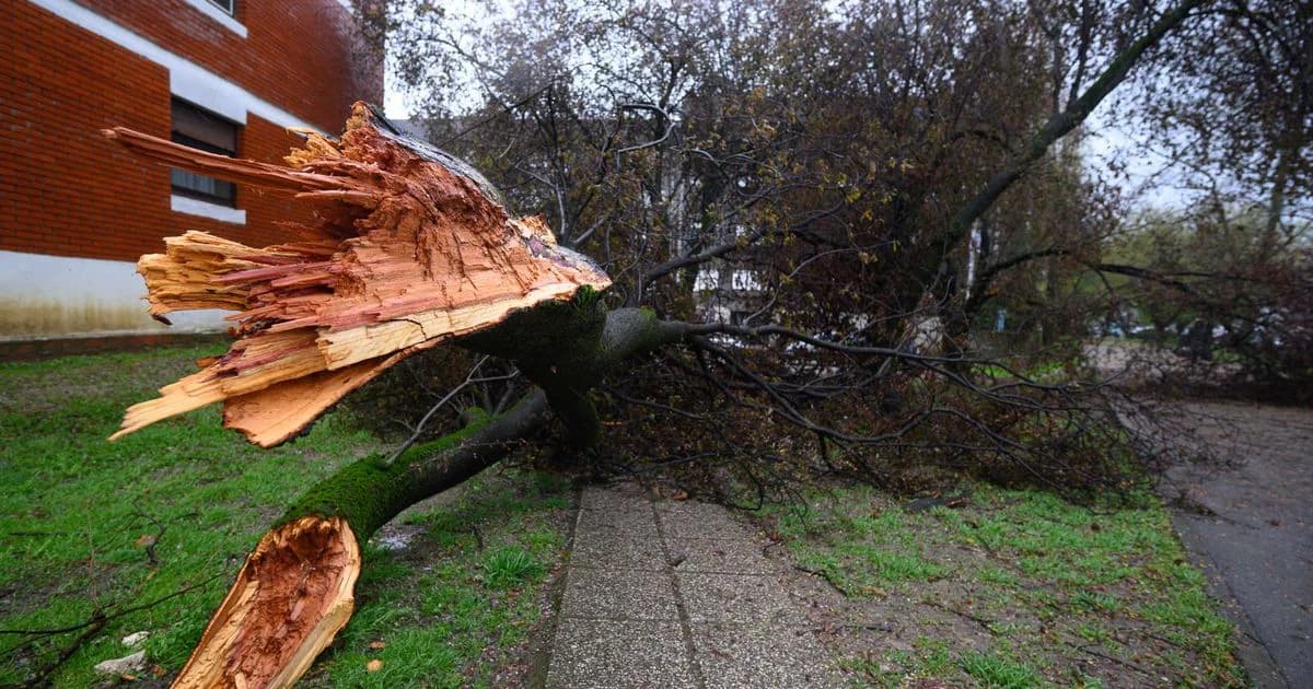 Olujni vjetar zatvorio A1, Zagreb bilježi rekordne udare