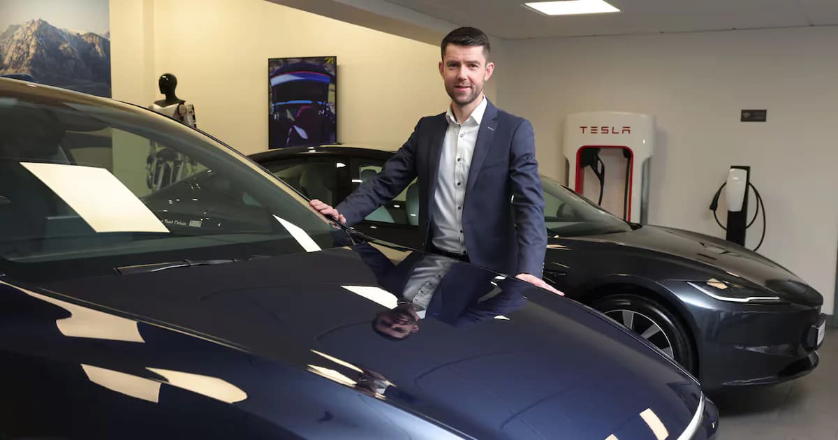 Šef Tesle za Irsku: Više automobila, autonomni taksiji i roboti u našim domovima